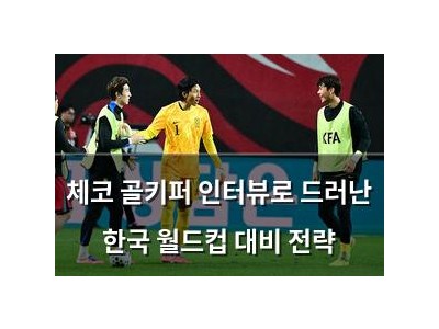 체코 골키퍼 인터뷰로 드러난 한국 월드컵 대비 전략