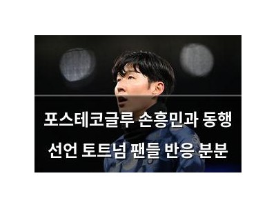 포스테코글루 손흥민과 동행 선언 토트넘 팬들 반응 분분