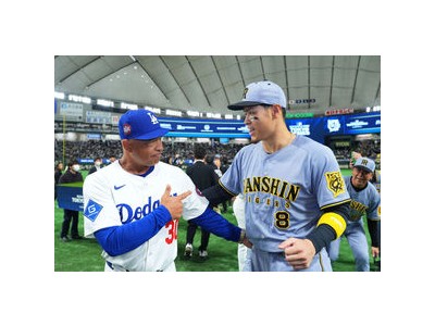 한신 타이거즈 MLB 도쿄시리즈서 뜨거운 관심 받음