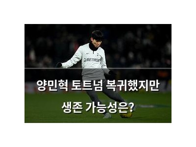 양민혁 토트넘 복귀했지만 생존 가능성은?
