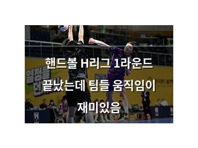 핸드볼 H리그 1라운드 끝났는데 팀들 움직임이 재미있음