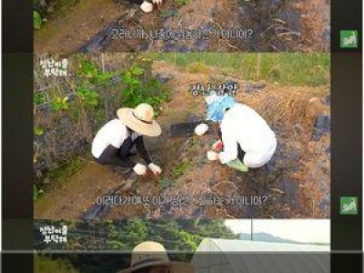 김정난 농사 후 예상치 못한 기쁨 얻다