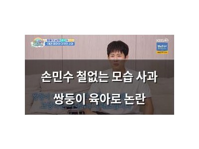 손민수 철없는 모습 사과 쌍둥이 육아로 논란