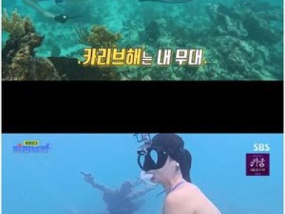 정글밥2 이준 윤남노에 이어 류수영 김옥빈도 화제