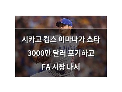 시카고 컵스 이마나가 쇼타 3000만 달러 포기하고 FA 시장 나서
