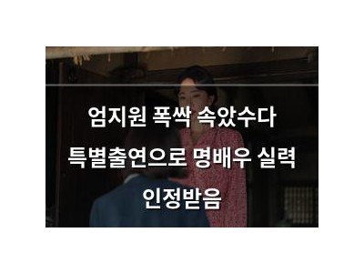 엄지원 폭싹 속았수다 특별출연으로 명배우 실력 인정받음