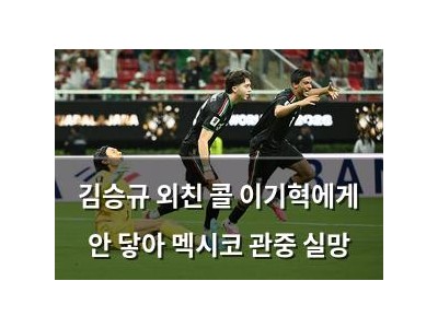 김승규 외친 콜 이기혁에게 안 닿아 멕시코 관중 실망